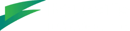 Borealis Logo